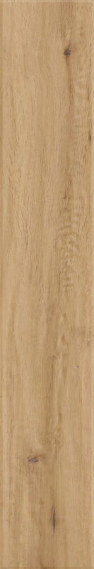 ragno woodstory r5rq.jpg