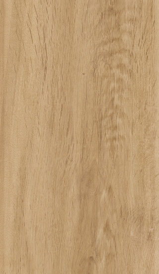 ragno woodstory r5rq.jpg