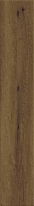 ragno woodstory r5rr.jpg