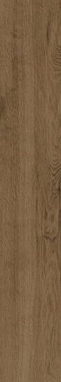 ragno woodtale r4tw.jpg