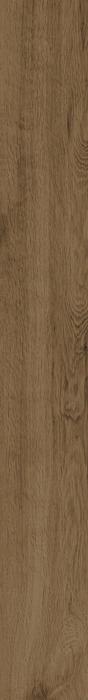 ragno woodtale r4tw.jpg