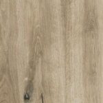 ragno woodtale xt20 r51x.jpg