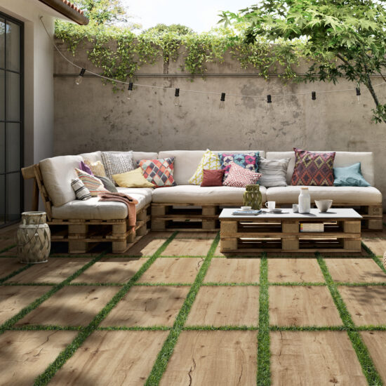 ragno woodtale xt20 003.jpg