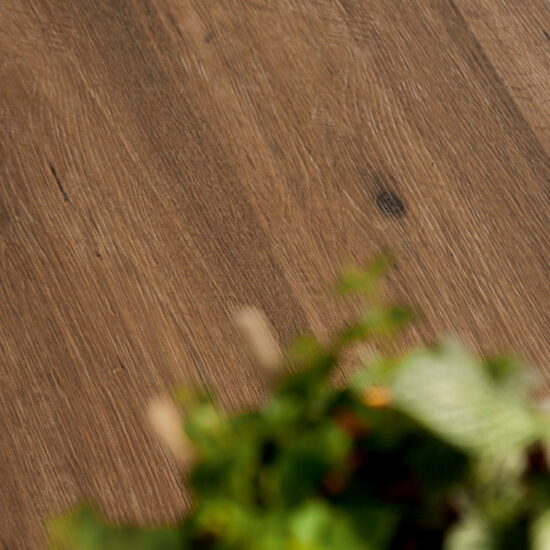 ragno woodtale xt20 004.jpg