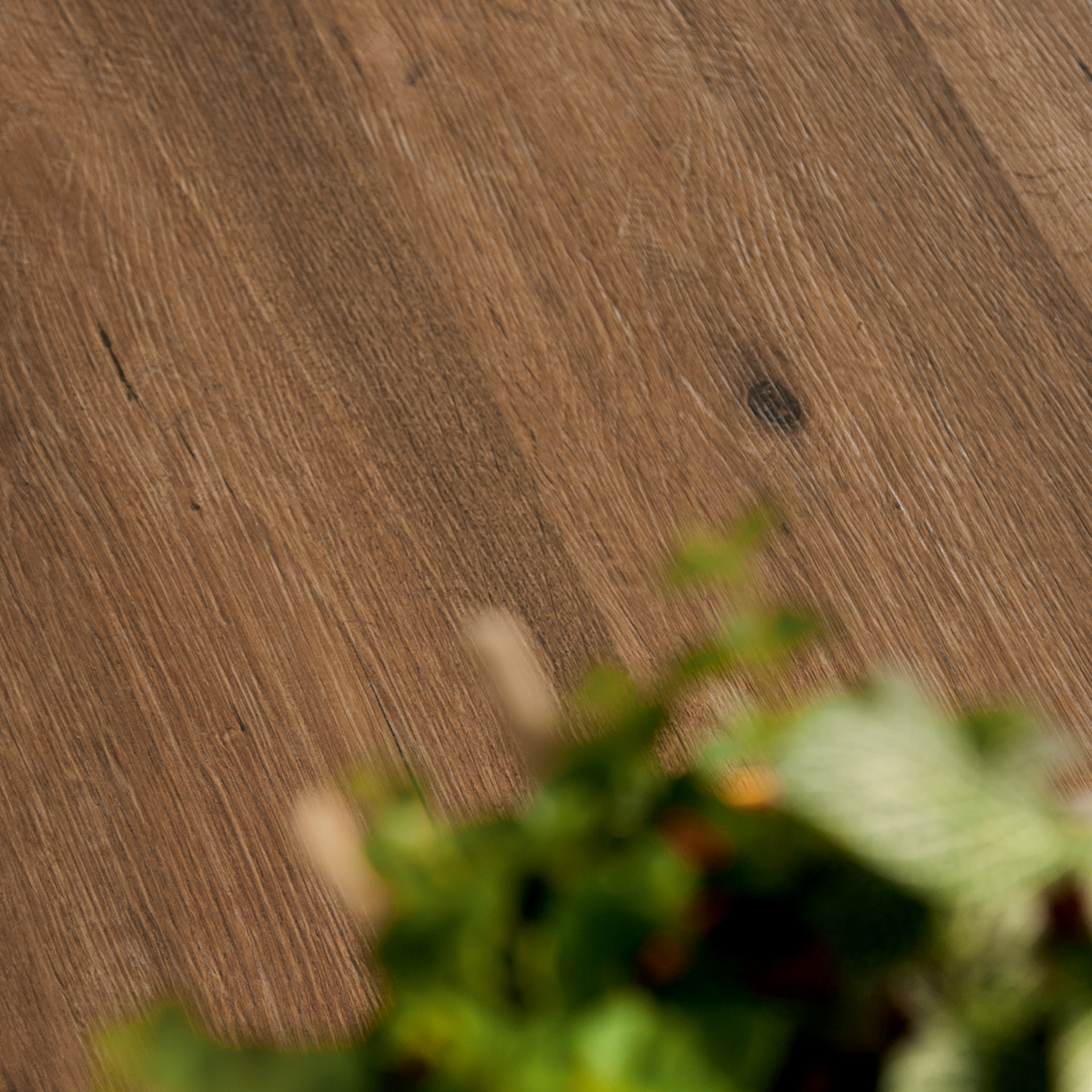 ragno woodtale xt20 004.jpg