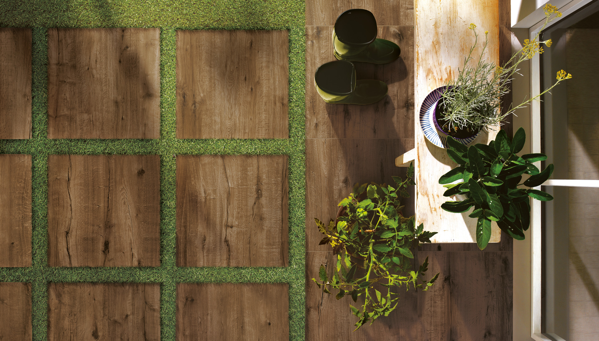 ragno woodtale xt20 005.jpg